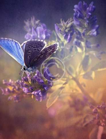 Our Land. Our Climate. Our Future